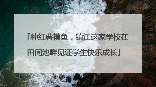 种红薯摸鱼，镇江这家学校在田间池畔见证学生快乐成长
