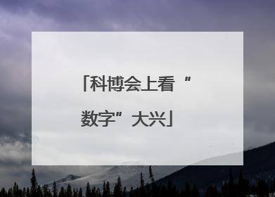 科博会上看“数字”大兴