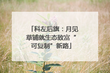 科左后旗：月见草铺就生态致富“可复制”新路