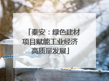 秦安：绿色建材项目赋能工业经济高质量发展