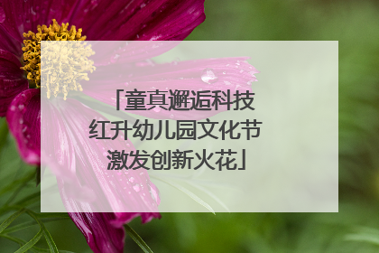 童真邂逅科技 红升幼儿园文化节激发创新火花