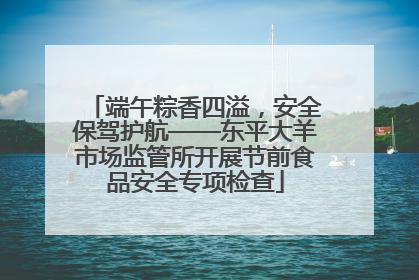 端午粽香四溢，安全保驾护航——东平大羊市场监管所开展节前食品安全专项检查