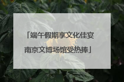 端午假期享文化佳宴 南京文博场馆受热捧