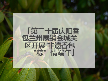 第二十届庆阳香包兰州展销会城关区开展 非遗香包“粽”情端午