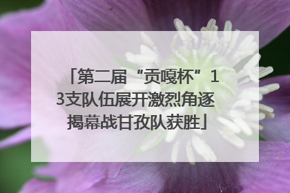 第二届“贡嘎杯”13支队伍展开激烈角逐 揭幕战甘孜队获胜