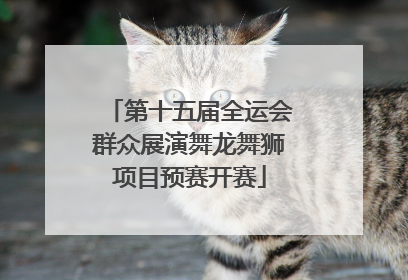 第十五届全运会群众展演舞龙舞狮项目预赛开赛