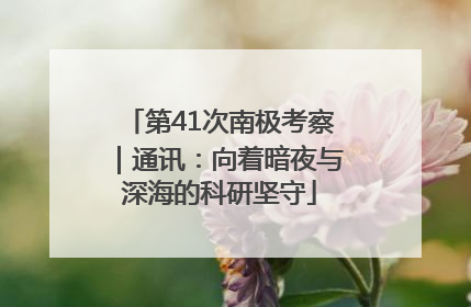 第41次南极考察｜通讯：向着暗夜与深海的科研坚守