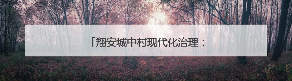 翔安城中村现代化治理：改革创新引领城乡蝶变
