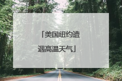 美国纽约遭遇高温天气