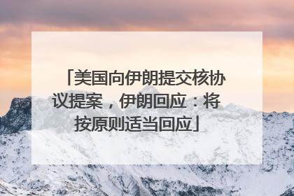 美国向伊朗提交核协议提案，伊朗回应：将按原则适当回应