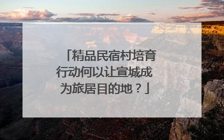 精品民宿村培育行动何以让宣城成为旅居目的地？