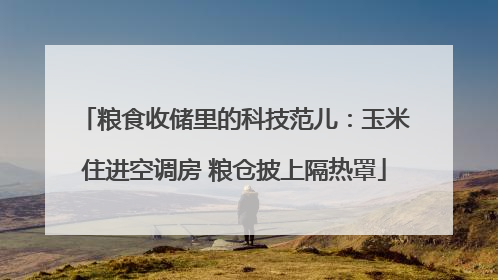 粮食收储里的科技范儿：玉米住进空调房 粮仓披上隔热罩