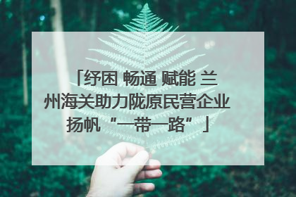 纾困 畅通 赋能 兰州海关助力陇原民营企业扬帆“一带一路”