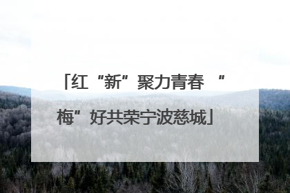 红“新”聚力青春 “梅”好共荣宁波慈城