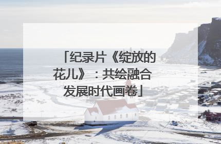 纪录片《绽放的花儿》：共绘融合发展时代画卷