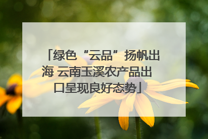 绿色“云品”扬帆出海 云南玉溪农产品出口呈现良好态势