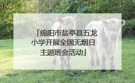 绵阳市盐亭县五龙小学开展全国无烟日主题班会活动
