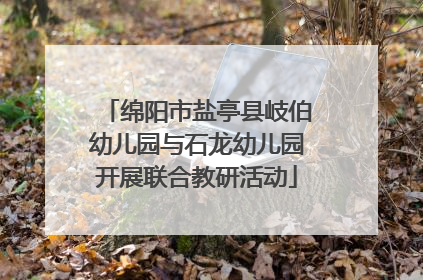 绵阳市盐亭县岐伯幼儿园与石龙幼儿园开展联合教研活动