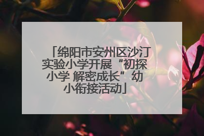 绵阳市安州区沙汀实验小学开展“初探小学 解密成长”幼小衔接活动