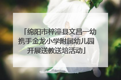 绵阳市梓潼县文昌一幼携手金龙小学附属幼儿园开展送教送培活动