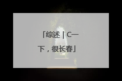 综述｜C一下，很长春
