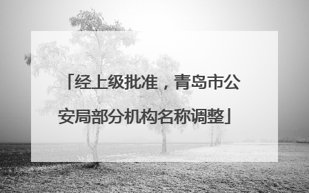 经上级批准，青岛市公安局部分机构名称调整