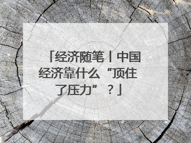 经济随笔丨中国经济靠什么“顶住了压力”？