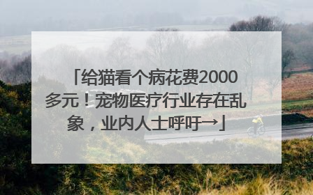 给猫看个病花费2000多元！宠物医疗行业存在乱象，业内人士呼吁→