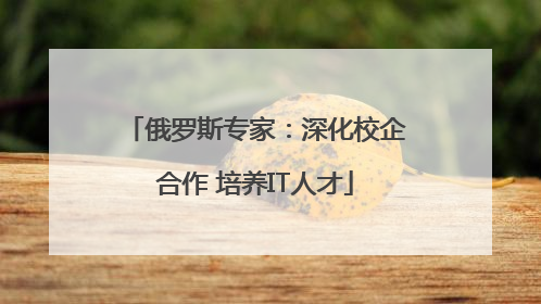 俄罗斯专家：深化校企合作 培养IT人才