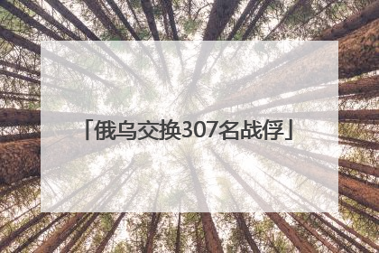 俄乌交换307名战俘