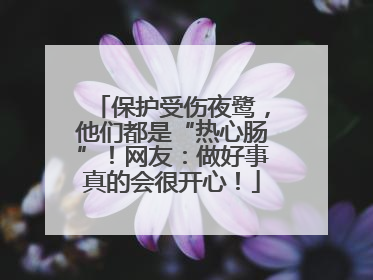 保护受伤夜鹭，他们都是“热心肠”！网友：做好事真的会很开心！