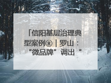 信阳基层治理典型案例⑧｜罗山：“微品牌”调出“大和谐”