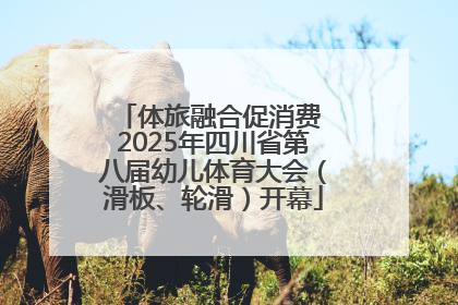 体旅融合促消费 2025年四川省第八届幼儿体育大会（滑板、轮滑）开幕