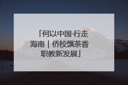何以中国·行走海南｜侨校飘茶香 职教新发展