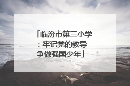 临汾市第三小学：牢记党的教导 争做强国少年