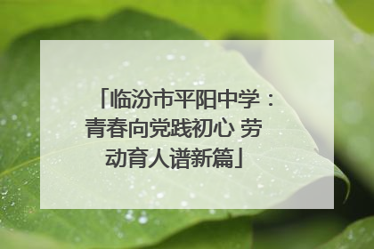 临汾市平阳中学：青春向党践初心 劳动育人谱新篇