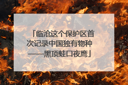 临沧这个保护区首次记录中国独有物种——黑顶蛙口夜鹰