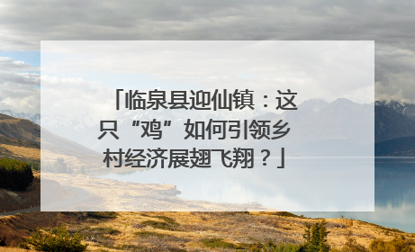 临泉县迎仙镇：这只“鸡”如何引领乡村经济展翅飞翔？