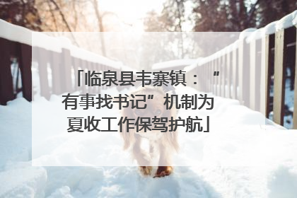 临泉县韦寨镇：“有事找书记”机制为夏收工作保驾护航