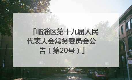 临淄区第十九届人民代表大会常务委员会公告（第20号）