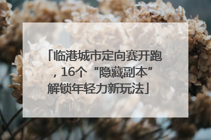 临港城市定向赛开跑，16个“隐藏副本”解锁年轻力新玩法