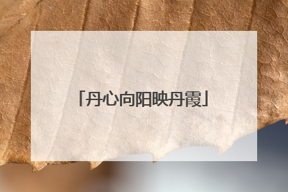丹心向阳映丹霞