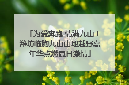 为爱奔跑 情满九山！潍坊临朐九山山地越野嘉年华点燃夏日激情