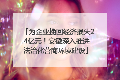 为企业挽回经济损失2.4亿元！安徽深入推进法治化营商环境建设