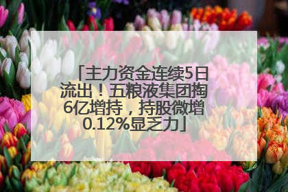主力资金连续5日流出！五粮液集团掏6亿增持，持股微增0.12%显乏力