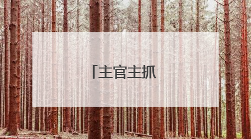 主官主抓 分工推进