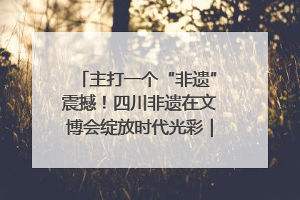 主打一个“非遗”震撼！四川非遗在文博会绽放时代光彩｜文博向“新”