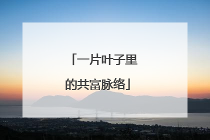 一片叶子里的共富脉络