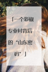 一个彩椒专业村背后的“山东密码”