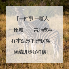 一件事 一群人 一座城——青海改革样本观察·打造民族团结进步好样板